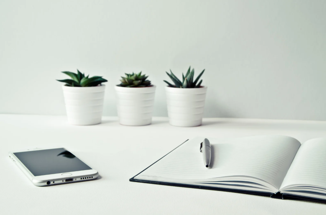 企业文化活动策划